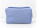 Stripped Travel Case - Blue