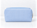 Stripped Travel Case- Light Blue