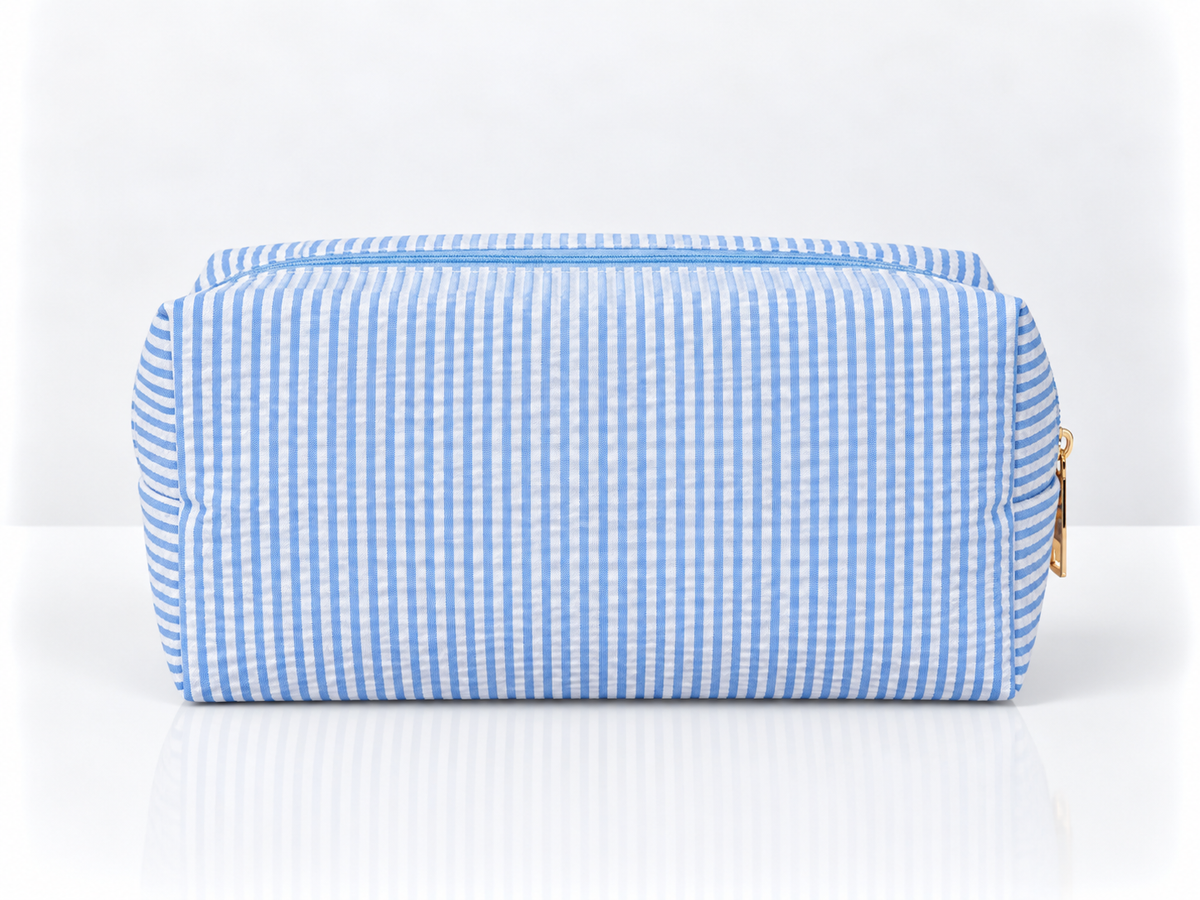Stripped Travel Case- Light Blue